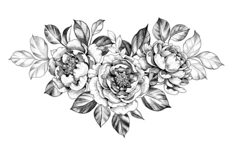牡丹叶手绘花照片