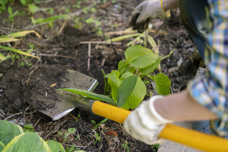 铁锹铲地噪音图片