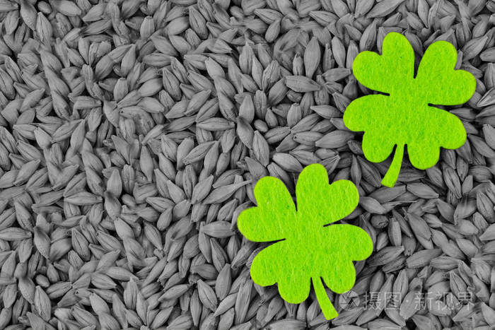 背景酿造日圣帕特里克灰基小米绿叶三叶草复制空间