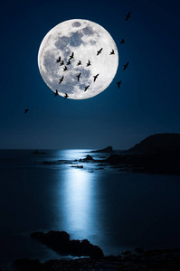 海上夜景与超级月亮图片