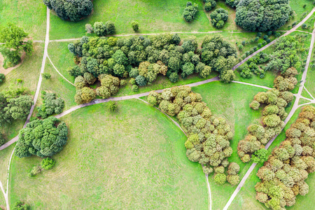 公园里有绿色的新鲜树木和草坪.鸟瞰图照片