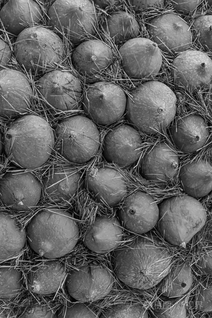 南瓜迷你蔬菜灰色图案墙面基础色调设计秋季