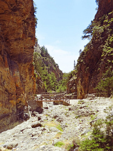 克里特岛高山峡谷与松林景观图片