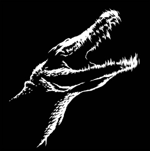 黑白线条画鳄鱼画插画艺术照片