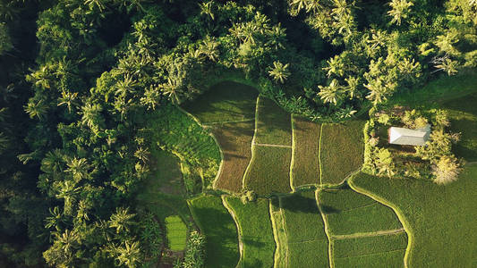 航拍自然图片