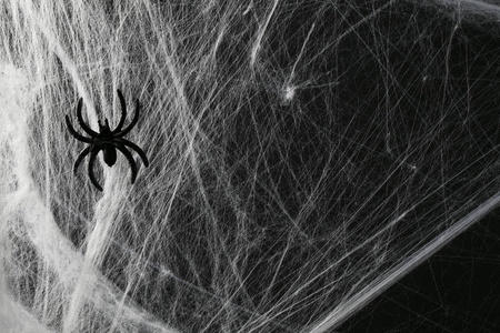 黑色背景的万圣节恐怖蜘蛛网图片