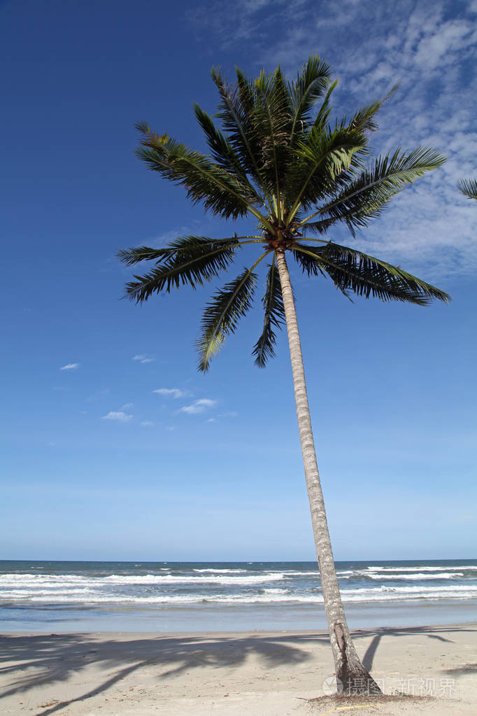 一棵椰子树白色沙滩和蓝天美丽的自然放松暑假在泰国