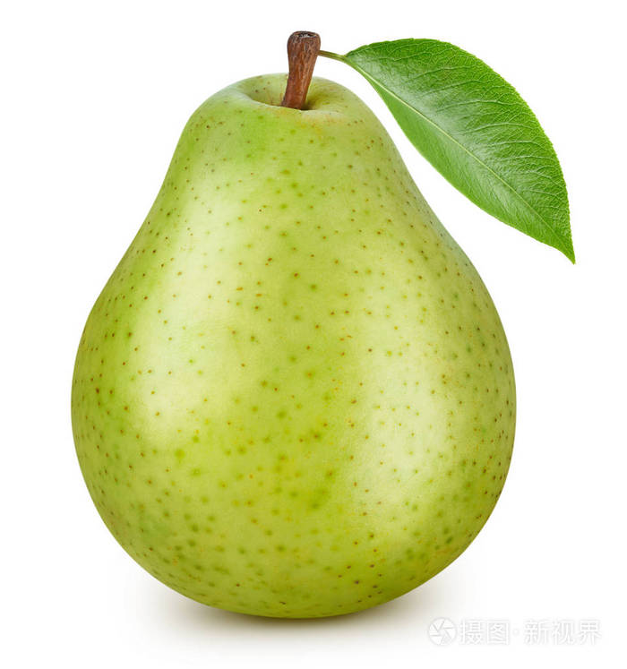 白底梨