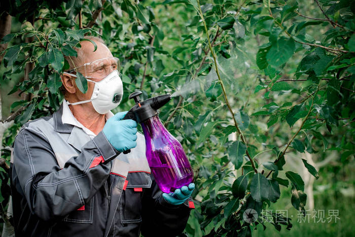 工人在植物上喷洒有机杀虫剂