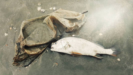 海滩上的死鱼和塑料袋垃圾照片