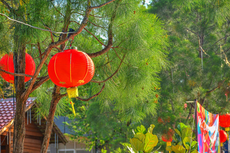 新年树上的红灯笼图片