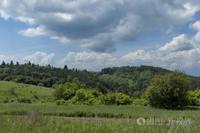 全景 小山 平面 森林 领域 太阳 风景 五颜六色 美丽的