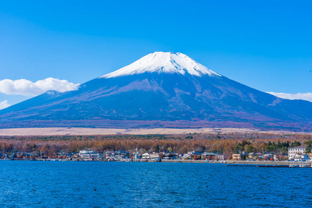 富士山山口照片图片