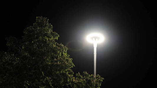 城市公园里的夜晚 街灯下的一棵树 库存镜头 夜空背景下明亮的路灯下摇曳的绿树树冠的俯视图 相似素材图片 摄图新视界