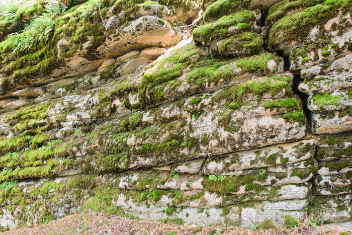 岩石由层组成布满苔藓的石头