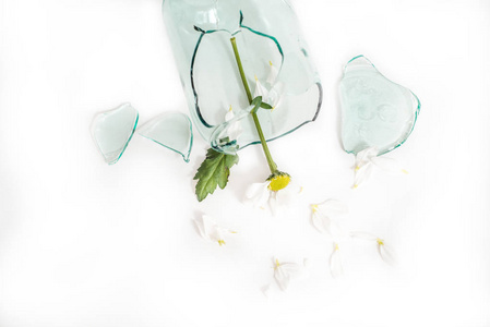 碎玻璃,碎花瓶里的花.不快乐的爱情,悲伤和眼泪.照片