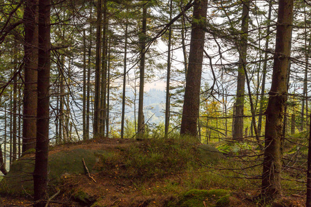 深山峡谷竟风流图片-深山峡谷竟风流素材-深山峡谷竟风流插画-摄图新