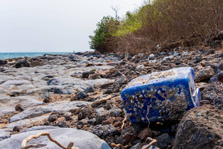 海滩软体动物生态塑料容器图片