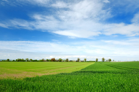 绿油油的农田图片-绿油油的农田素材-绿油油的农田插画-摄图新视界