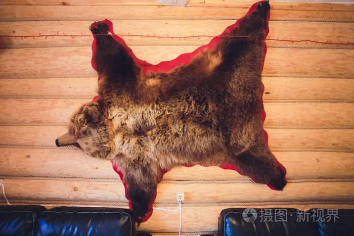 熊皮挂在木墙上和铜吊灯上