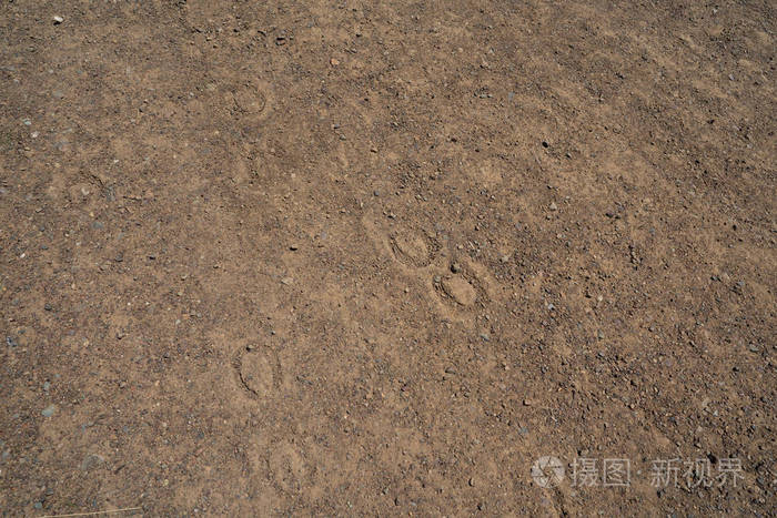 白天在干土路上挖出的马蹄印
