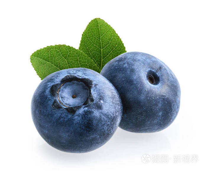 白底蓝莓
