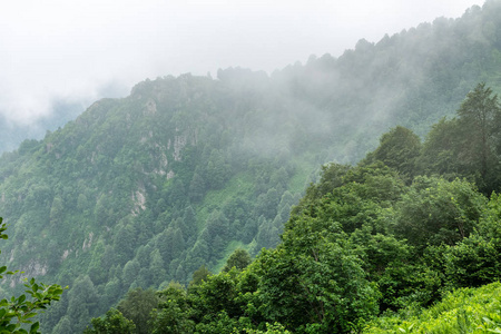 绿色草地后面有多岩石的山峰图片