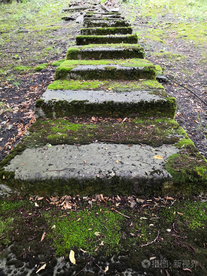 石阶向上每一个台阶都长满了苔藓