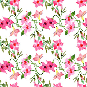 粉红色曼陀罗花植物花水彩插图背景设置无缝背景图案