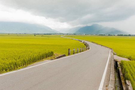赤山赤山布朗大道美丽稻田景观照片