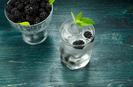 水果和冰水冰水汽水杯冰镇薄荷冰水鸡尾酒一杯冰水除霜的签名图标.