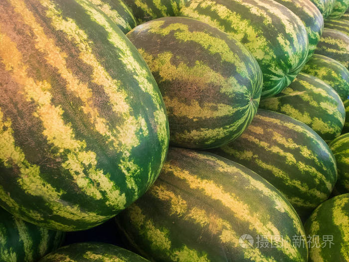 一排排新鲜的绿色条纹西瓜堆在市场柜台上