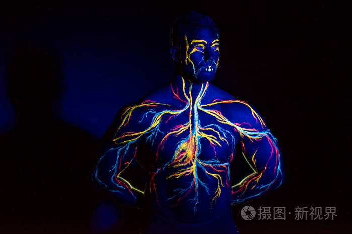 在一个成年男性身体上的循环系统人体艺术的紫外线照片在肌肉运动员的