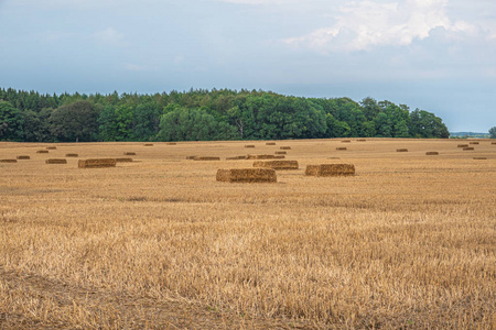 收割谷物后的田地图片-收割谷物后的田地素材-收割