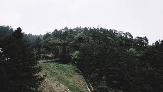 中国江西明月山森林图片