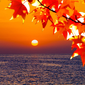 美妙的热带海滩图片-美妙的热带海滩素材-美妙的热带海滩插画-摄图新