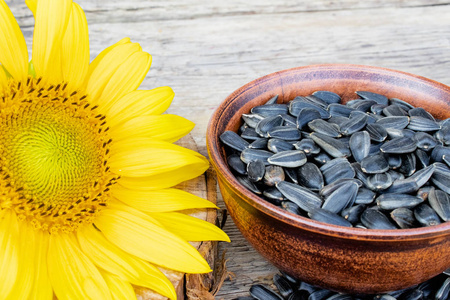 向日葵和葵花籽图片