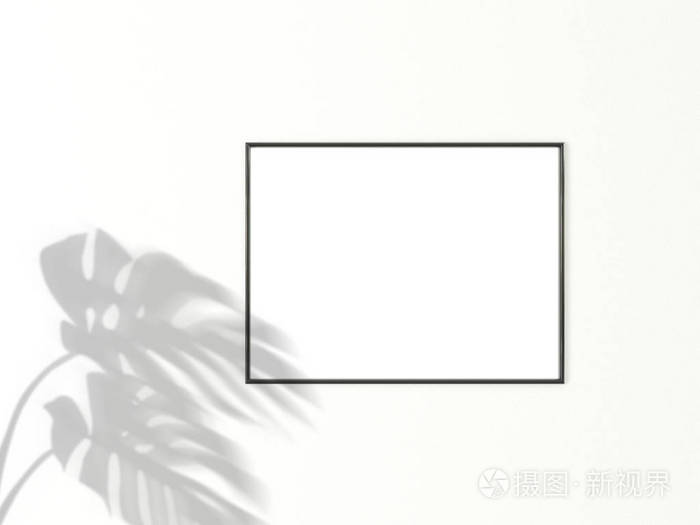 3x4水平黑色框架，用于照片或图片模型，背景为白色，带有monstera树叶的阴影。3D渲染。