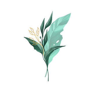 插画绿色植物图片