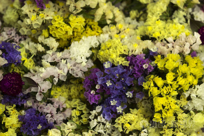补血草一束花里有许多五颜六色的花黄色白色蓝色和粉红色的干花背景