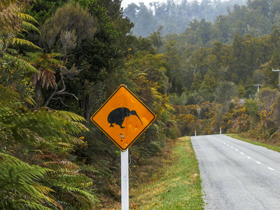 新西兰西海岸的猕猴桃路标图片