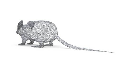 鼠标的多边形插图老鼠的形状是由空间多边形网格构成的.动物标志2020.