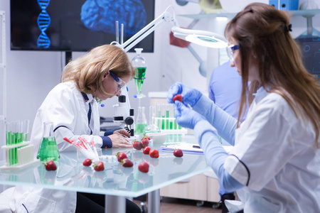 两位女科学家在食品研究实验室一起工作照片