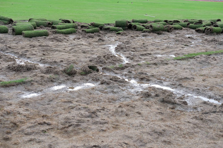 把绿色的草坪草卷起来铺在花园里照片
