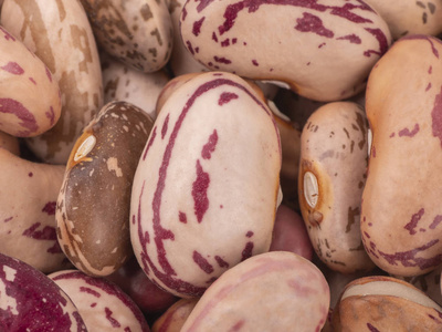 收获豆类.杂色豆照片