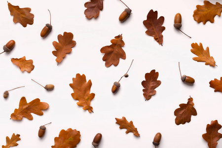 橡树枯叶橡子秋季创作背景图片