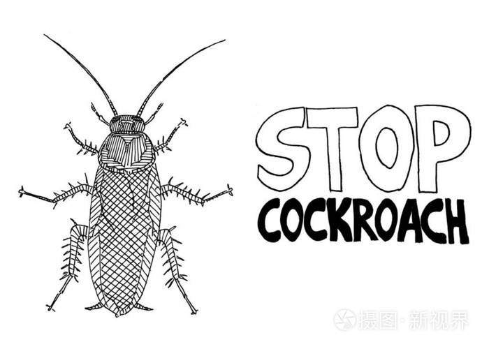 黑白素描蟑螂停止危险色