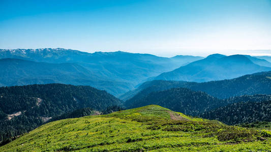 从被高山环绕的绿色山谷高处俯瞰的景色.地平线上白雪皑皑的山峰.照片