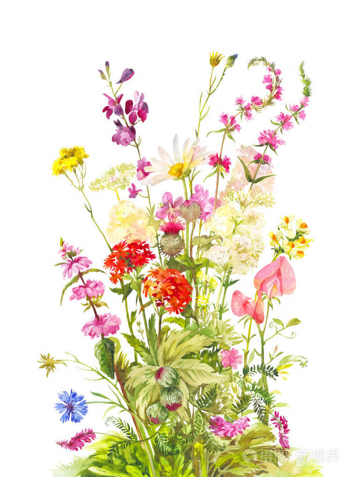 森林开花植物的花束野花水彩