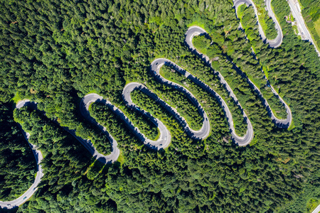 绿色森林中蜿蜒道路的鸟瞰图图片